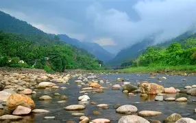 ট্যুরের ছবি